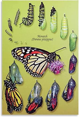 Научен Плакат за насекоми, Плакат с Пеперуда, модул за Обучение Плакат с Жизнения цикъл на Пеперуда-Монарх, Печат върху Платно,