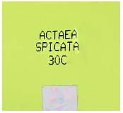 NWIL SBL Actaea Spicata Развъждане на 30 чаена лъжичка.
