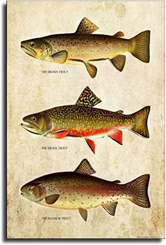 Ретро Пъстърва за Риболов риболов, летят Плакат Печат върху Платно, Подарък За Украса на Стената Картина на