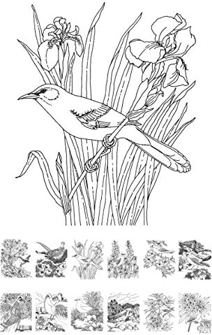За награда-книжка за оцветяване за възрастни (24 страници 6 x8) Невероятни птици и цветя в ретро стил FLONZ