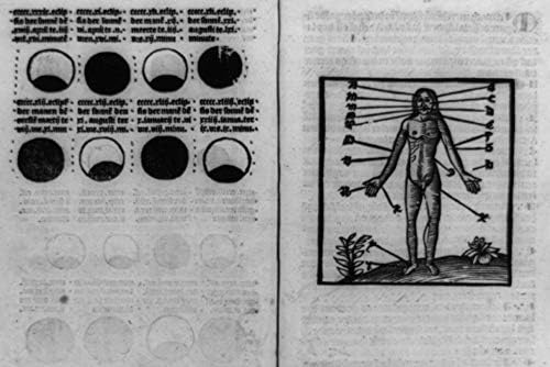 БЕЗКРАЙНИ СНИМКИ 1516 Снимка: Ръководство за кровопусканию | Фаза на Луната, Точка, приложен към гола фигура | Книга на кровопусканию