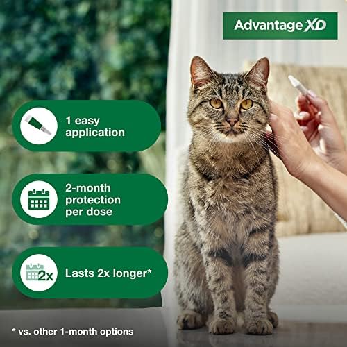 НОВО предимство XD За профилактика и лечение на бълхи при котки с тегло 1,8-9 килограма. | 4 местни дози, срок