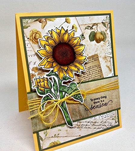 Печат Simply Clear Печати Flower Power Пакет - Лале, Роза, Тънки цвете, слънчоглед Християнски религиозни (4 опаковки)