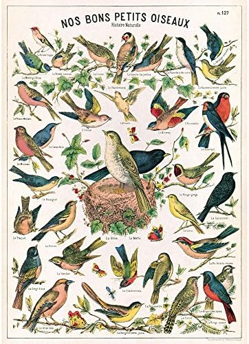 Декоративна хартия Cavallini - Рисунка на Птица е на Лист с размер 20x28 Инча