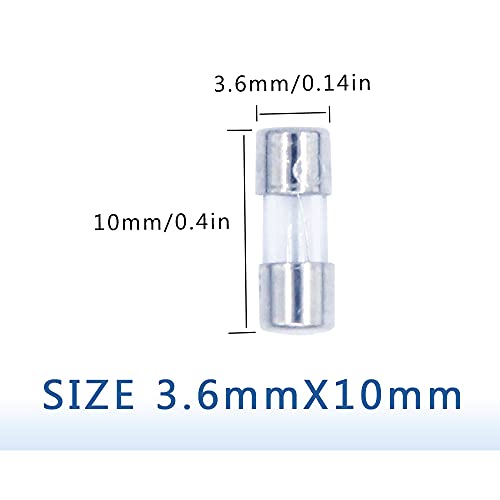 Fymusing 12шт F2.5AL 2.5 A 125 В Быстроразъемный Стъклен предпазител /0,14 х 0,39 инча/3,6 х 10 мм, за Струнни тела, Коледни