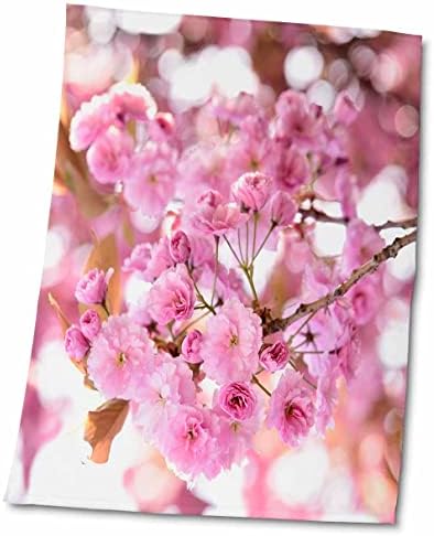 3дрозовое Кърпа, Розова Сакура В разцвет Сакуры