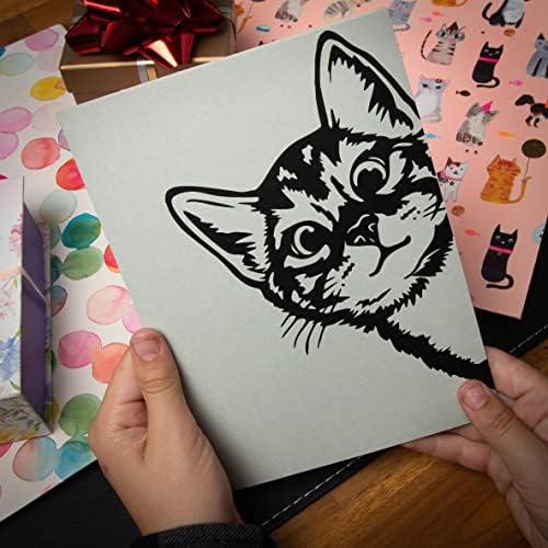 Всплывающая картичка с котка от ДИВАЙН Изскачащи картички с плик (8 x 6) | 3D Картичка за рожден ден на мама | Изскачащи Поздравителни