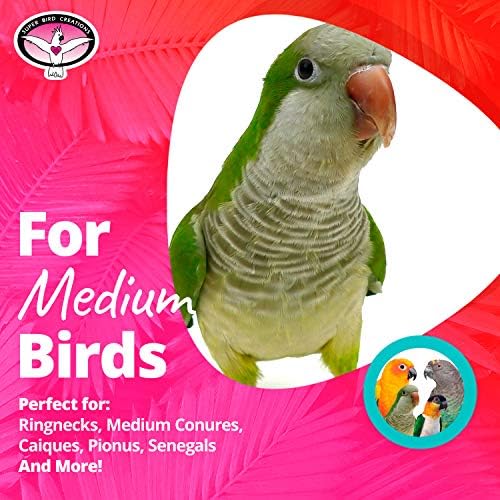 Супер Bird Creations SB736 Играчка-Птица с виглерами и Вафли, Средният размер на Птици, 3 x 5 x 9
