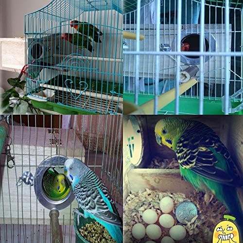 PINVNBY Кутия за Гнездо на Папагал, Птичи Къща, Дървена Кутия за Разплод Вълнообразни Попугайчиков, Кутия За Чифтосване
