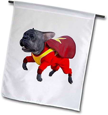 Графичен карикатура 3dRose Boehm - Cartoony френски булдог в костюм на Супер-Кучето - Знамена (fl_357664_2)