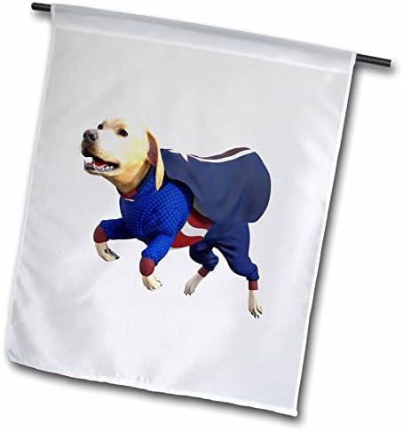 Графичен карикатура 3dRose Boehm - Cartoony лабрадор в костюм на супер-Кучето - Знамена (fl_357665_2)