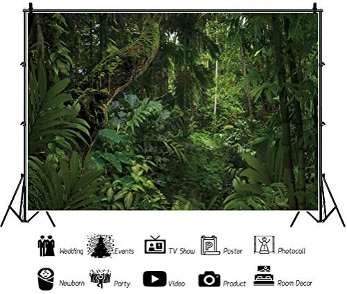DORCEV 12x8 фута Фон за Снимки в Джунглата за нощуване на Открито, на Фона на Тематични партита, Пролетта на Мистериозен