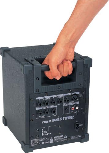 Roland Cube Monitor/PA с 6,5-инчов коаксиальным 2-бандов високоговорител