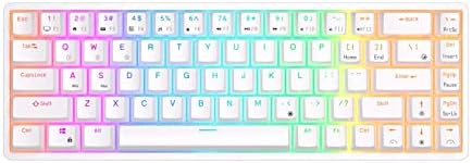 OLORES RKG68 RK837 Безжична ръчна клавиатура 68 клавиш 65% RGB подсветка с възможност за гореща подмяна на 2,4