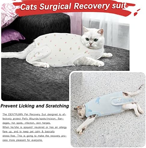 DENTRUN Костюм за възстановяване след Кастрация от Вылизывания котки, Алтернативна Риза за Възстановяване След операция