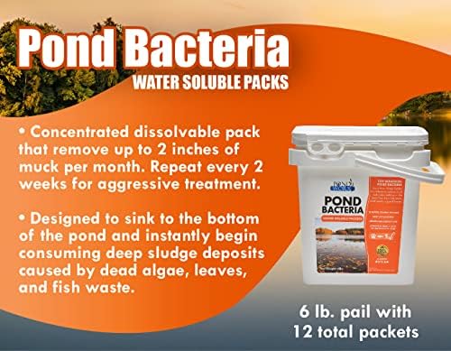 Пакети с бактерии за езерото Pondworx – 6 лири (12 пакета) - Пречиства водата и премахва неприятните миризми, лесни за използване пакети с естествени бактерии, се лекуват
