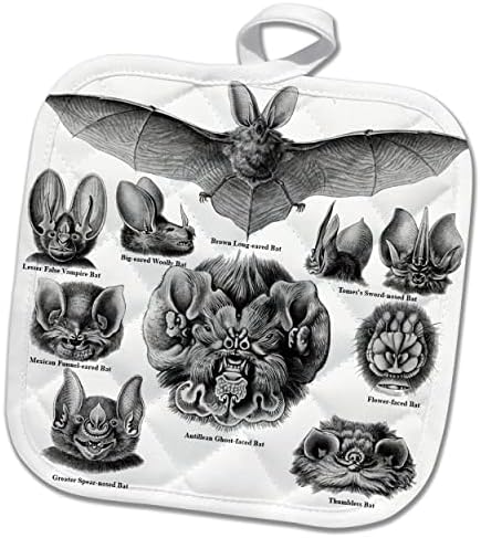 Художествена печат 3dRose Bats с регистрирани надписи, идентифицирующими породата и вида прилепи. - Кухненски ръкавици (phl-365412-1)