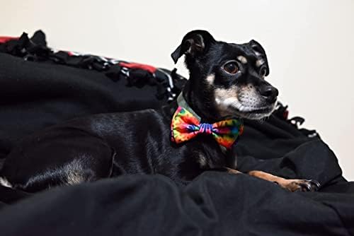 Папийонка Huxley & Kent за домашни любимци | Уудсток (Много голям) | папийонка на велкро за закрепване на яката | Забавни вратовръзки-пеперуди за кучета и котки | Красиви, у?
