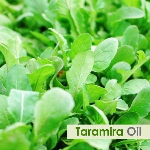Етерично масло Тарамиры (Eruca Sativa) е Чист и естествена - Неразбавленное масло от премиум-клас - Използва