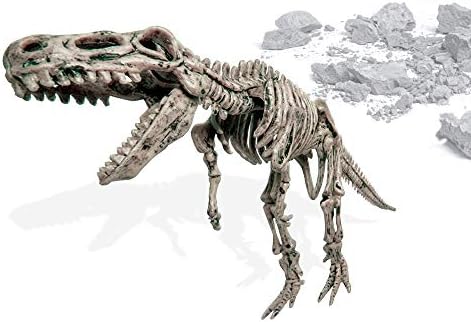 Протокол Разкопки и Вкаменелости на Динозаври 3D-Пъзел