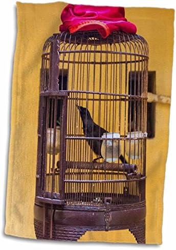 3дРоза Данита Делимон - Птица - Певчая птичка в клетка, Ханой, Виетнам - Кърпи (twl-226098-3)