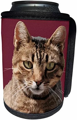 Триизмерен Портрет Сладък Раирана котка С Пряко Визуално контакт. - Опаковки за бутилки-охладители (cc-361202-1)