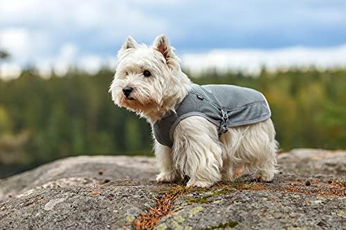 Охлаждащ жилетка за кучета Сребро за защита от прегряване и виолетови, Регулируеми за активни кучета от Малки,