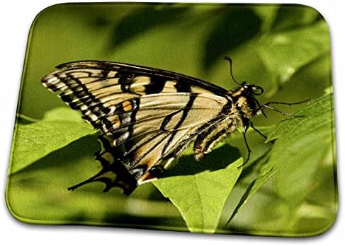 3роза Източна Тигровая Пеперуда с Махаоновым Опашка, Върмонт - US46... - Постелки за баня (rug-95007-1)