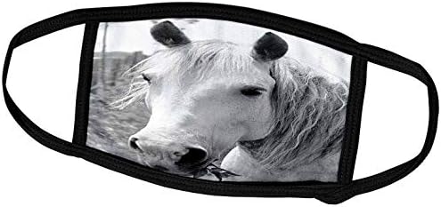 3dRose TDSwhite – Снимки на коне - Кон дъвча трева - Маска за лице (fm_285507_1)
