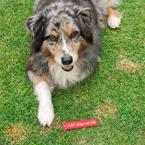 Ключодържател за кучета, Кученце, Ключодържател, виси Етикет за ключове, Подарък за Фен на Кучета (Ако се Изгуби,