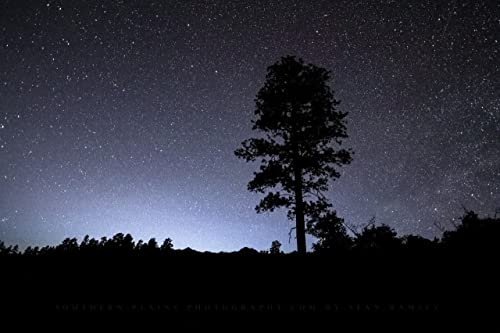 Снимка на нощното небе, Принт (Без рамка), Картина пейзаж на боровите гори и планини, на фона на небето в Колорадо,