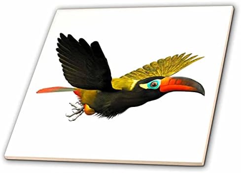 3D Графика, Млечница Boehm Птица - Мъжки Птици Гинан Туканет - Плочки (ct_357654_1)