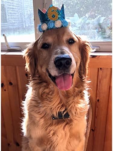 Rimobul Хет-Короната за домашни любимци, Капачка за рождения Ден на Кучето, Множество Короната за парти по