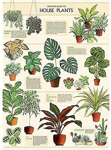 Декоративен Плакат Cavallini в амбалажна хартия, Стайни растения, Италиански Архивните хартия с размери 20 x 28 см (АМБАЛАЖНА