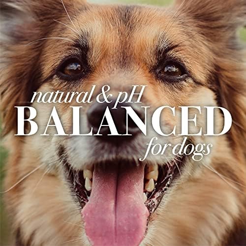 Бърт Bees for Dogs Care Plus + Естествен Овлажняващ шампоан с кокосово масло | и Нежен Почистващ Шампоан за кучета
