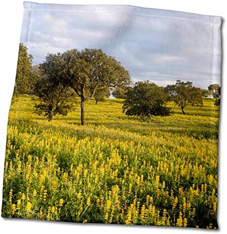 Триизмерен пейзаж с лугом диви цветя близо до Мертолы, Португалия, Алентехо - Кърпи (twl-277833-3)