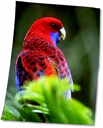 3 Кърпи за птици Drose Florene - Червени и Сини за папагали (twl-43800-1)