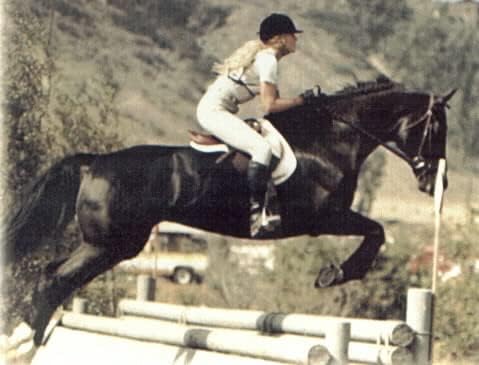 Добавка BLACK-AS-KNIGHT Dark Horse за подобряване на вълна, грийв, опашки и копита вороных, гнедых и други тъмни коне.7 кг
