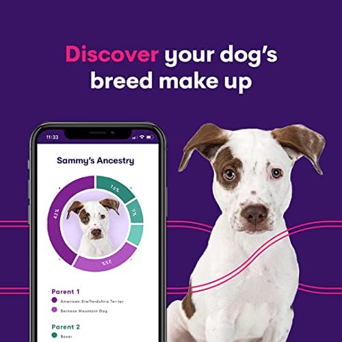 2 Опаковки ДНК Тест на куче Orivet | Genopet Breed Dog ID Test Kit, Генетичен тест, Наследени рискове за здравето